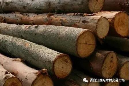 【木材資訊】1-2月國內(nèi)木材進口降幅超兩成！