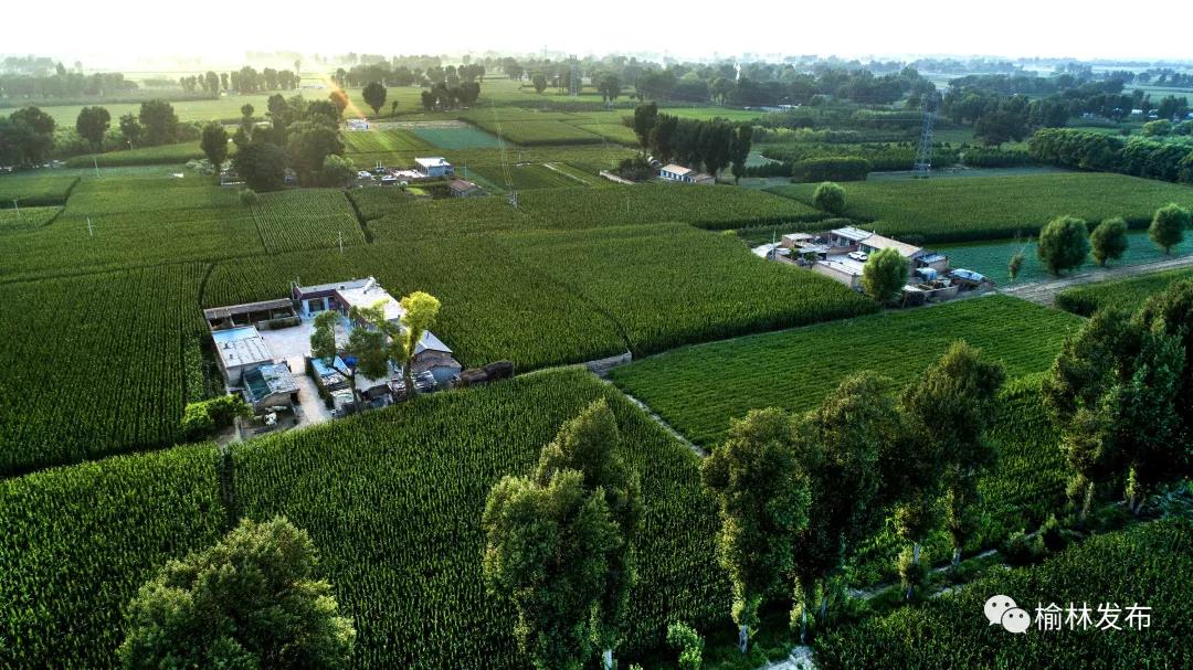 【中國林業(yè)】 生態(tài)奇跡！毛烏素沙漠即將從陜西版圖“消失”