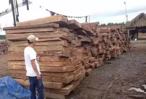 【木材資訊】2021年1季度芬蘭原木產(chǎn)量價(jià)格穩(wěn)步上漲