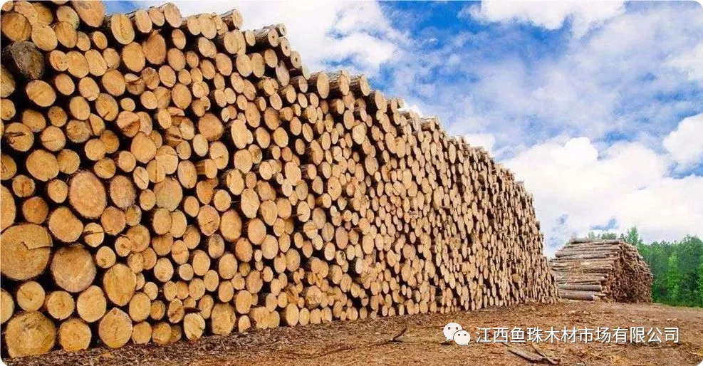 【木材資訊】國外熱帶材需求旺盛或將推高我國木材價格