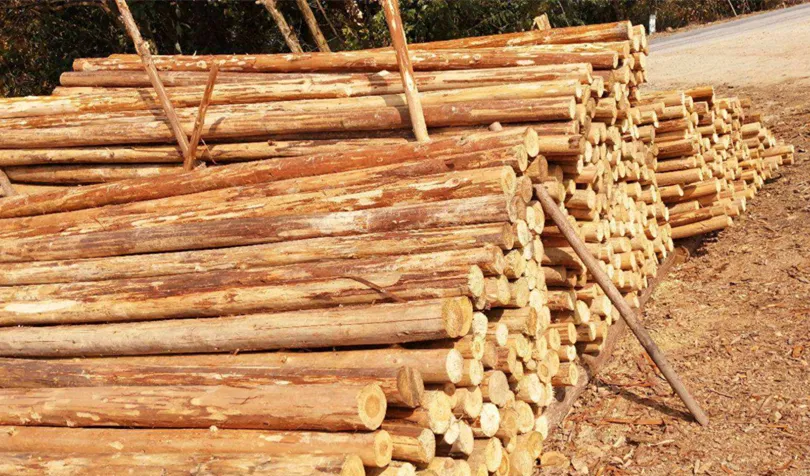 【木材資訊】國務(wù)院：降低我國木材進口關(guān)稅