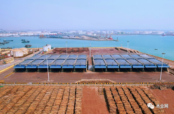 【木材資訊】山東1月原木進口明顯增多