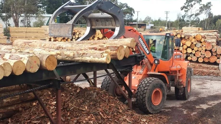 【木材資訊】原木產(chǎn)量減少，港口暫停服務(wù)，新西蘭出口原木價格上漲！